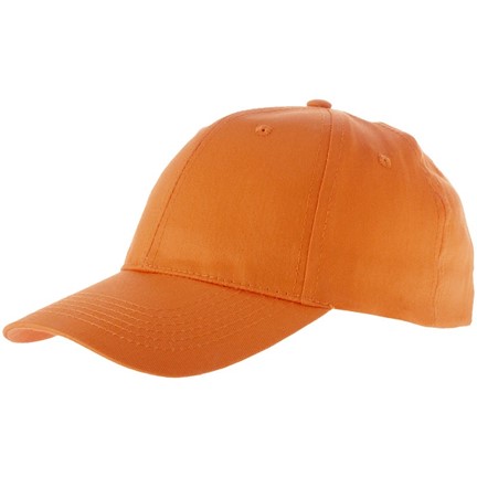 Watson 6 panel cap