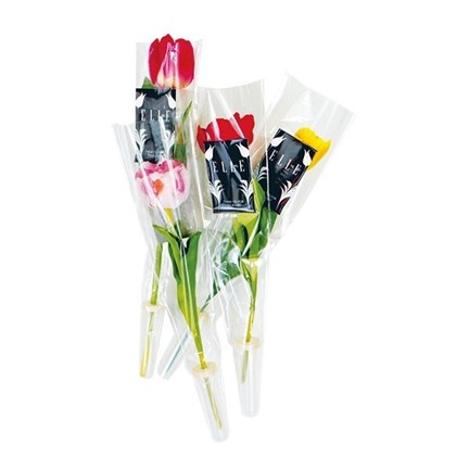 Verse tulpen per stuk verpakt