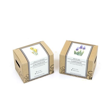 Kraft Present box