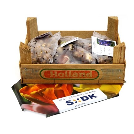 Holland krat
