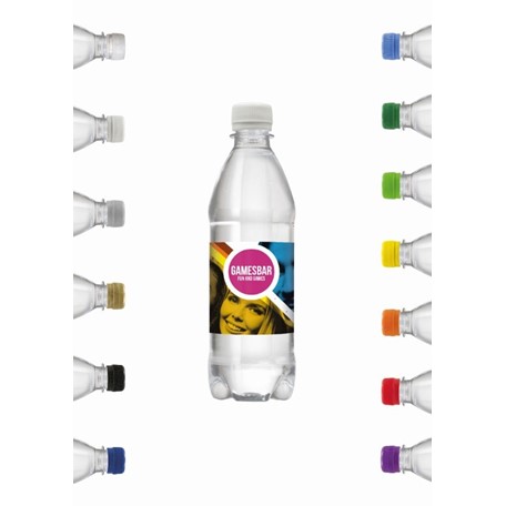 Bronwater 500 ml met draaidop