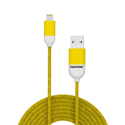 Kabel Lightning USB 3ft