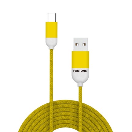 Kabel Type-C USB 3ft