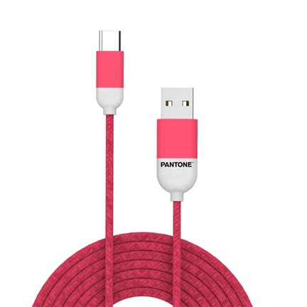 Kabel Type-C USB 3ft