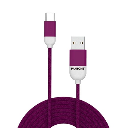 Kabel Type-C USB 3ft