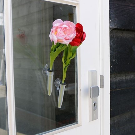 Verse tulp in hoes met kaartje en zuignap