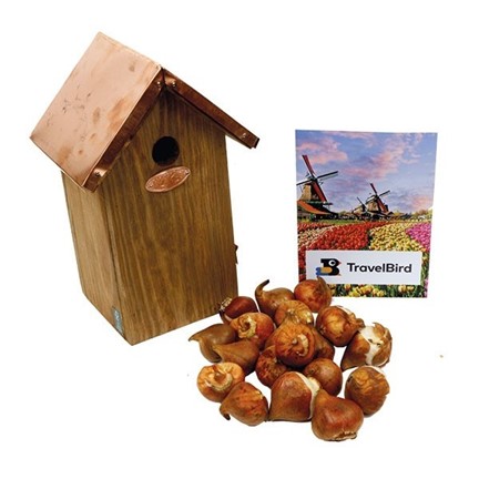 Vogelhuisje met tulpen