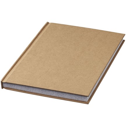 Fiddle volwassene kleur en notitieboek