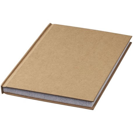 Fiddle volwassene kleur en notitieboek
